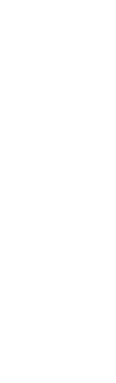 本日のおすすめは