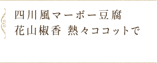 四川風マーボー豆腐 