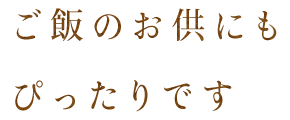 ご飯のお供にもぴったりです